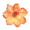 Эмодзи Flowers | Цветы 🧡