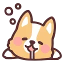 fluffy corgi emoji 🤤