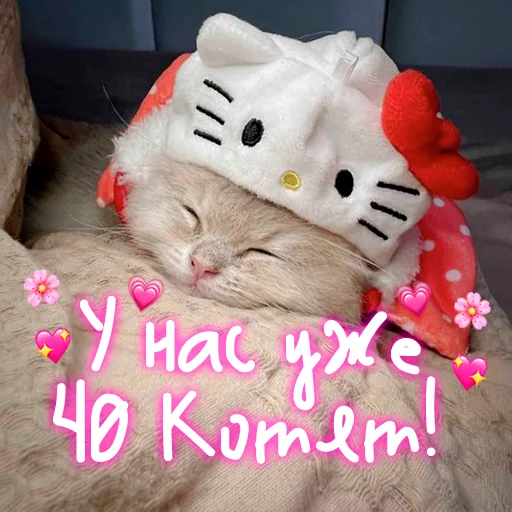 Telegram Sticker «My kitties» 😺