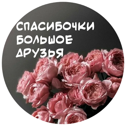 Стикер For My Friends🤍 🤗