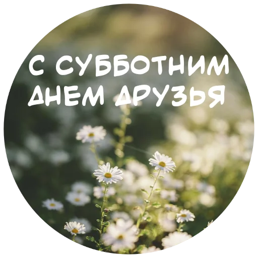 Telegram Sticker «For My Friends🤍» 🙏