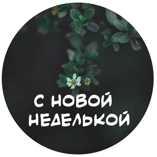 Стикер For My Friends🤍 👋