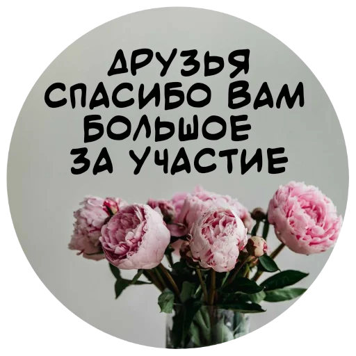 Стикер For My Friends🤍 🙏