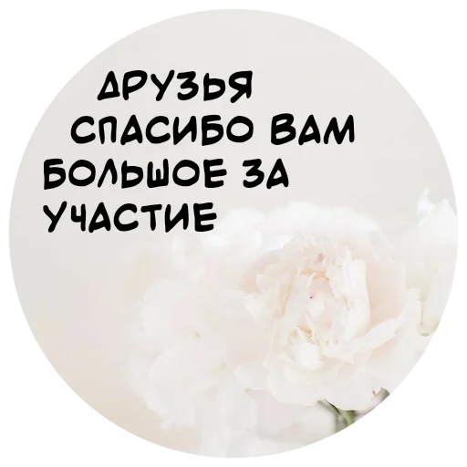 Telegram Sticker «For My Friends🤍» 👍