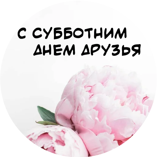 Telegram Sticker «For My Friends🤍» 👋