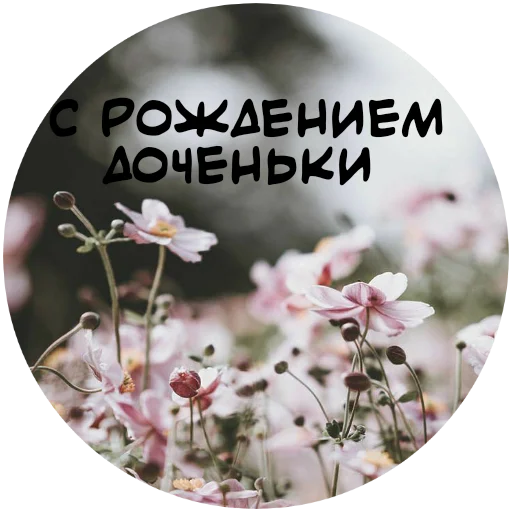 Стикер For My Friends🤍 💐