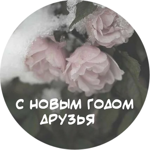 Telegram Sticker «For My Friends🤍» ❄️