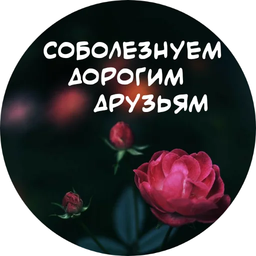 Стикер For My Friends🤍 🥀