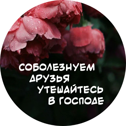 Емодзі For My Friends🤍 🌹