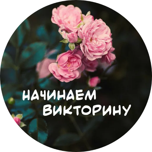 Емодзі For My Friends🤍 ❗️