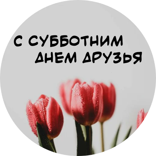 Telegram Sticker «For My Friends🤍» 🙏