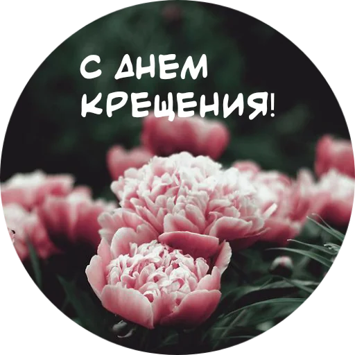 Стикер For My Friends🤍 🤍