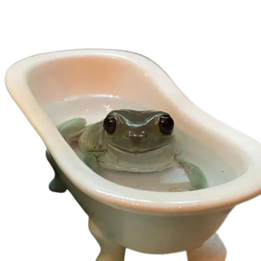 frogs sticker 😶‍🌫️
