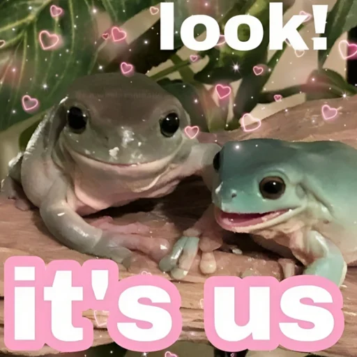 frogs sticker 😘