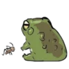 Эмодзи Frogs 🪲