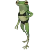 Frogs emoji 👙