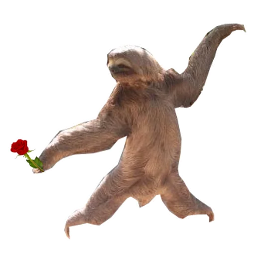 Стікер Fun Sloth ❤️