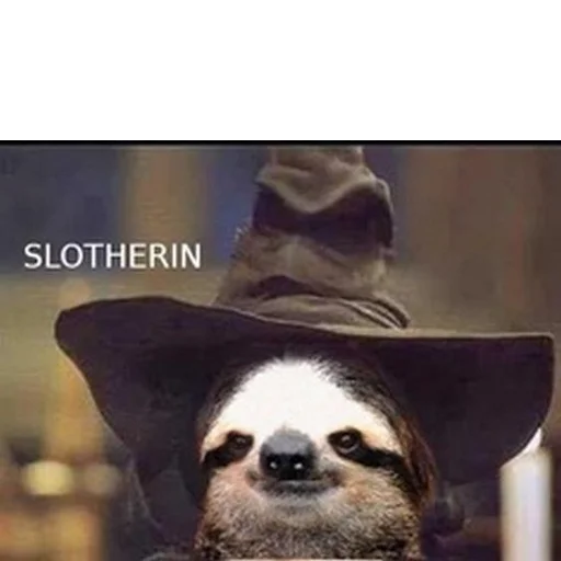 Стікер Fun Sloth 🤠