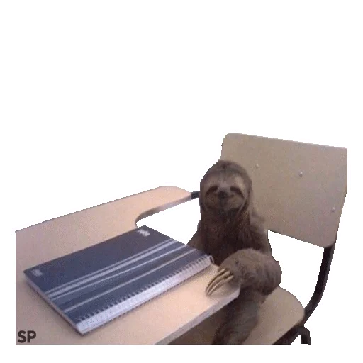 Стікер Fun Sloth ✏️