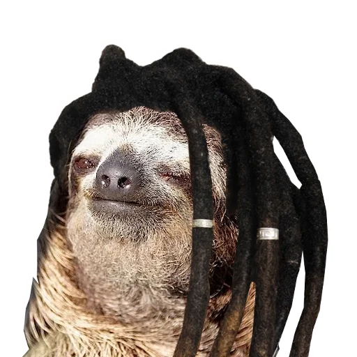 Стікер Fun Sloth 🙂