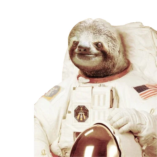 Емодзі Fun Sloth 👨‍🚀