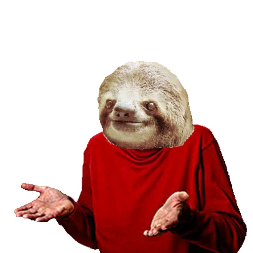 Эмодзи Fun Sloth 🤷‍♂️