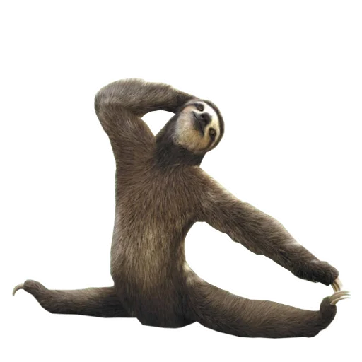 Емодзі Fun Sloth 🙅‍♀️
