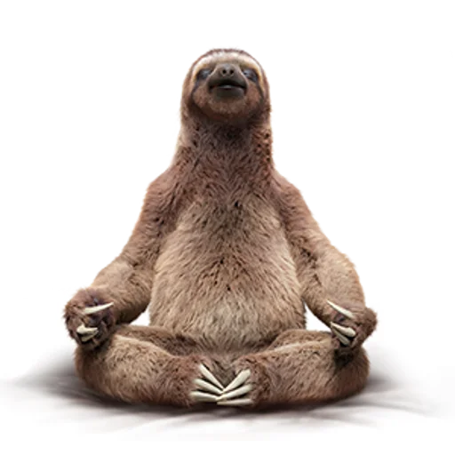 Емодзі Fun Sloth 🧘