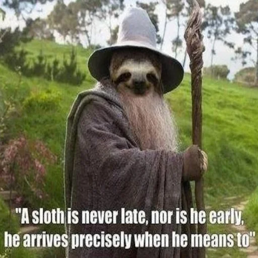Емодзі Fun Sloth 🧙‍♂️