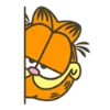 Garfield  emoji 😶