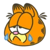 Garfield  emoji 🥲