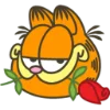 Garfield  emoji 😏