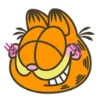 Garfield  emoji ☺️