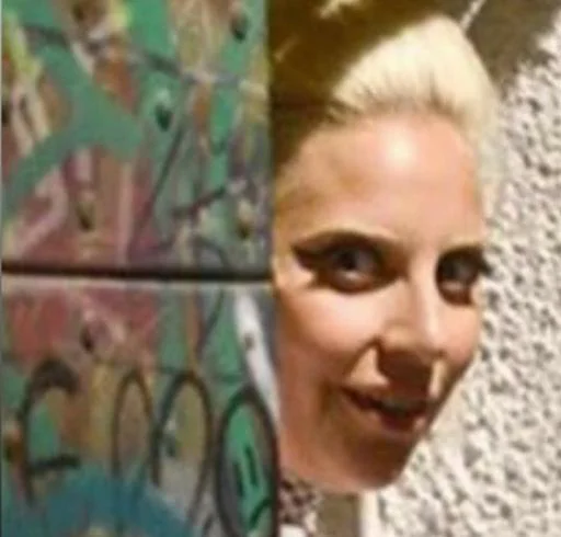 Lady Gaga Memes emoji 🚨