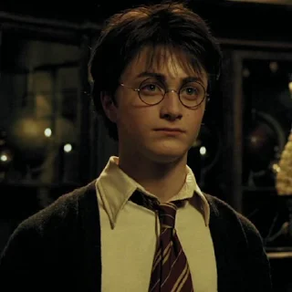 #3 Гарри Поттер stiker 😑
