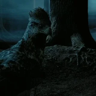 Эмодзи #3 Гарри Поттер 🦅