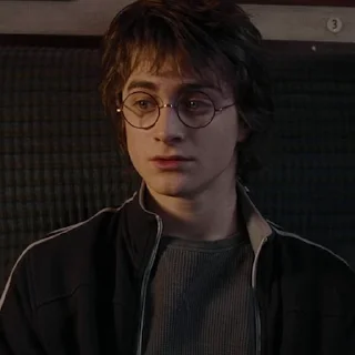 #4 Гарри Поттер  sticker 🤔