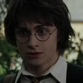 #4 Гарри Поттер stiker 😃