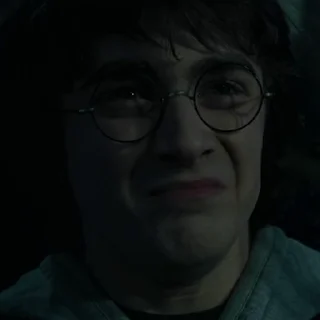 #4 Гарри Поттер stiker 🤢