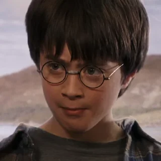 #1 Гарри Поттер stiker 🤢