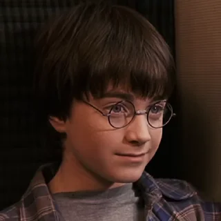 #1 Гарри Поттер sticker ⚡️