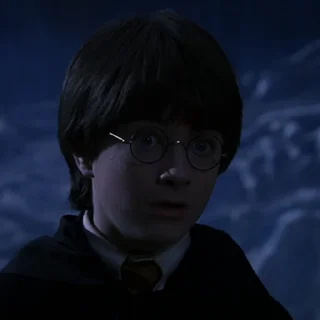#1 Гарри Поттер sticker 🤕