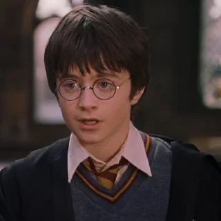 #1 Гарри Поттер sticker 🙄