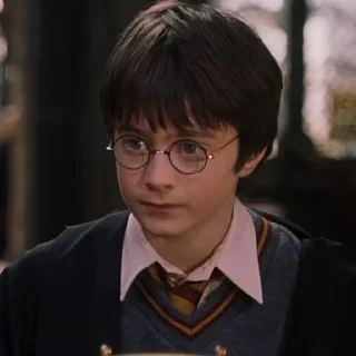 Стикер #1 Гарри Поттер 🤨