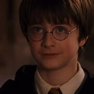 #1 Гарри Поттер sticker 🤷‍♂️