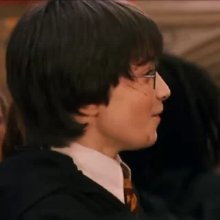 #1 Гарри Поттер stiker 😁