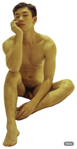 Telegram Sticker «Asian Gay Porn» 😕