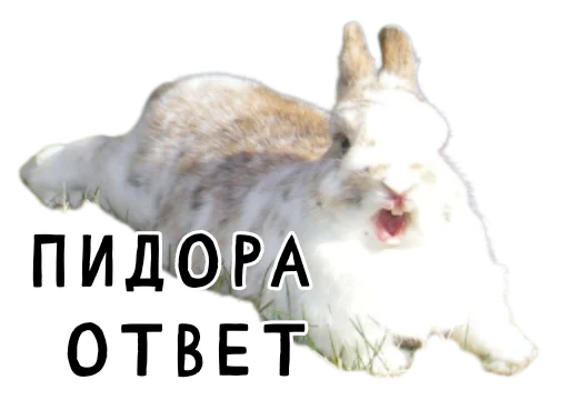 Telegram stickers Гнилые кролики 