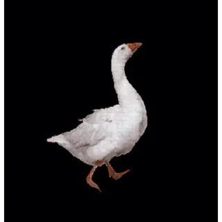 Goose_honk stiker 🚶