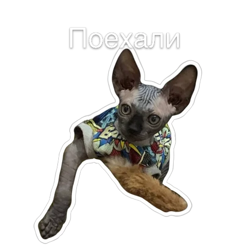 Telegram Sticker «Гостецкий» 🚙